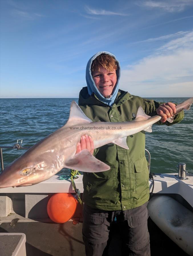 10 lb Smooth-hound (Common) by Fred