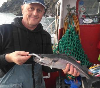 4 lb Coalfish (Coley/Saithe) by mike butterworth