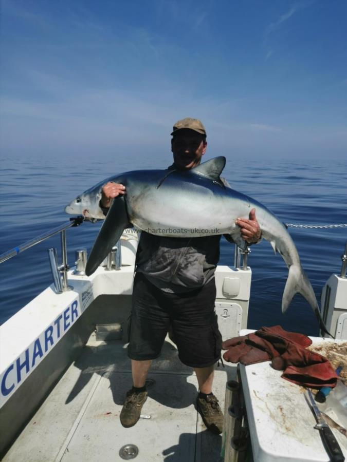 95 lb Blue Shark by Andy Truelove