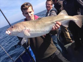 16 lb 8 oz Cod by Unknown