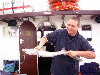 9 lb Smooth-hound by nick lay