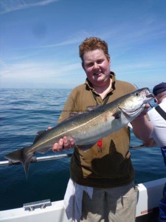 8 lb Coalfish (Coley/Saithe) by Ash Hamblin