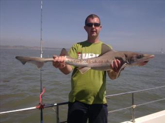 17 lb 2 oz Smooth-hound (Common) by Len Chatfield