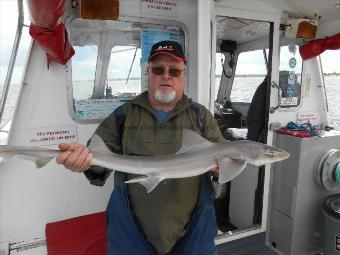 6 lb Starry Smooth-hound by David Jones