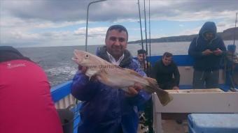 5 lb 6 oz Cod by Unknown