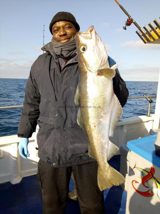 10 lb 8 oz Pollock by Darren