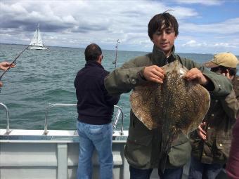 10 lb Undulate Ray by Unknown