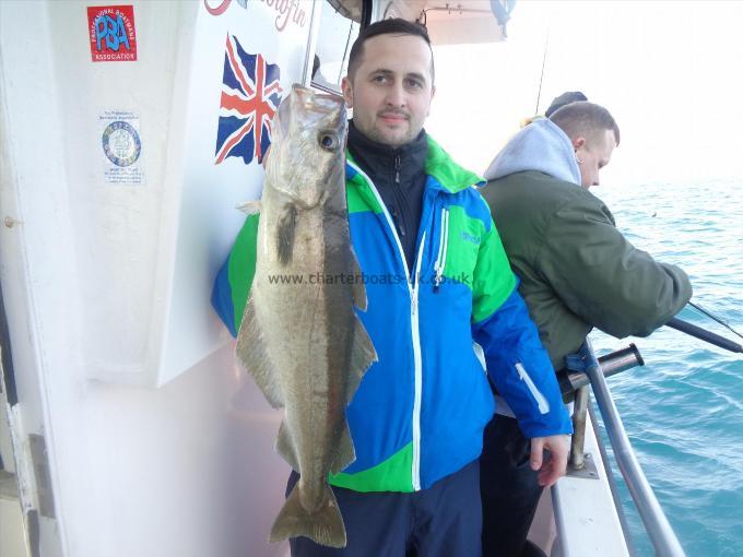 8 lb 12 oz Pollock by Misa