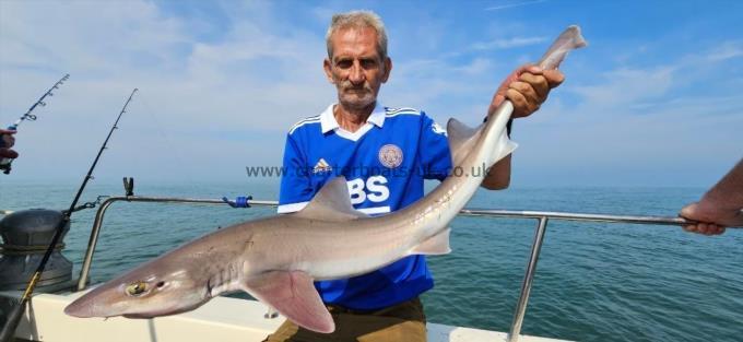 13 lb 6 oz Starry Smooth-hound by Dave