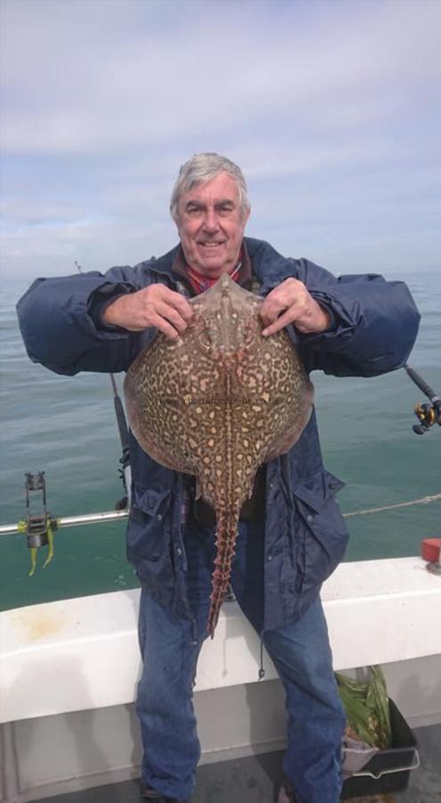 12 lb 11 oz Thornback Ray by Gordon