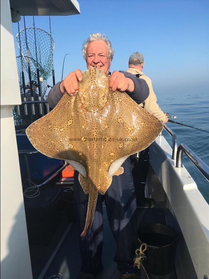 20 lb Blonde Ray by Kim Smith