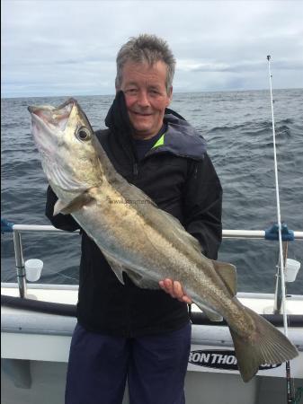 12 lb Pollock by Kevin McKie