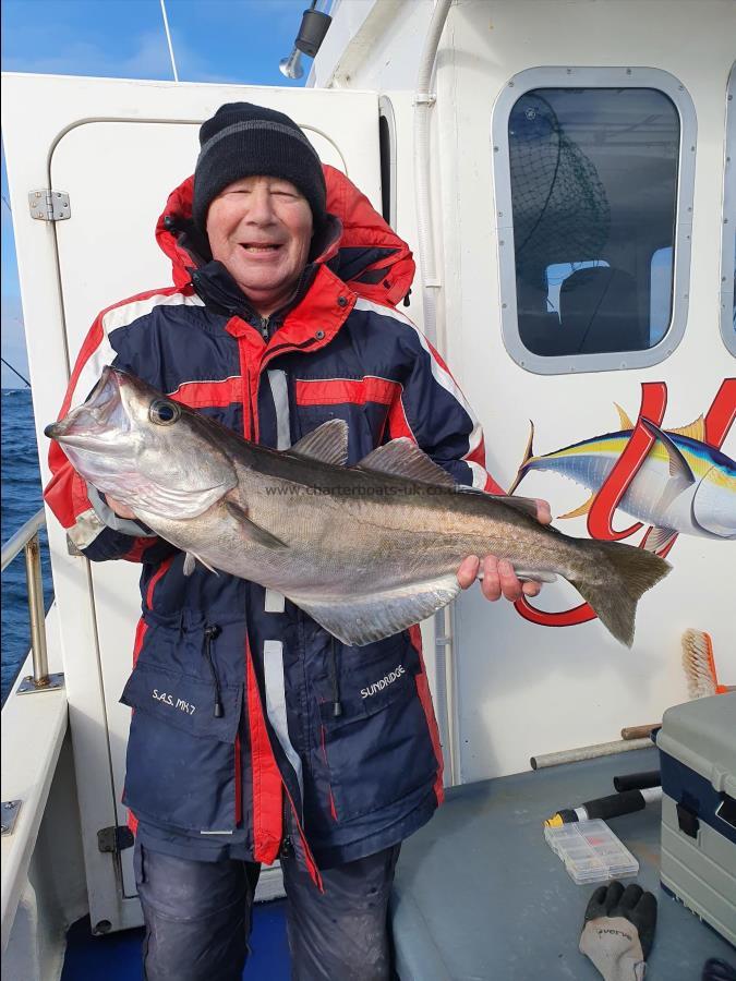 11 lb Pollock by Dave