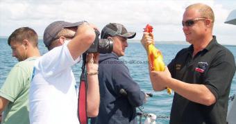 2 lb Tub Gurnard by The chicken shot