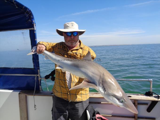 35 lb 1 oz Tope by andy f tope