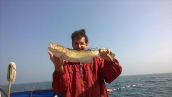 4 lb Cod by Stephen Wake