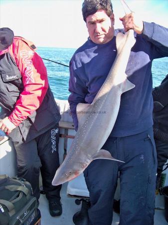 19 lb 1 oz Starry Smooth-hound by gary