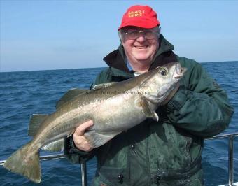 13 lb Pollock by Bill Oliver