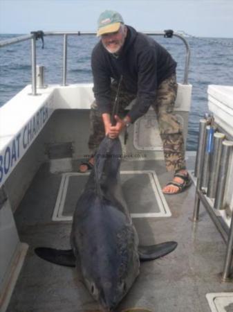 148 lb Porbeagle by Andy Truelove