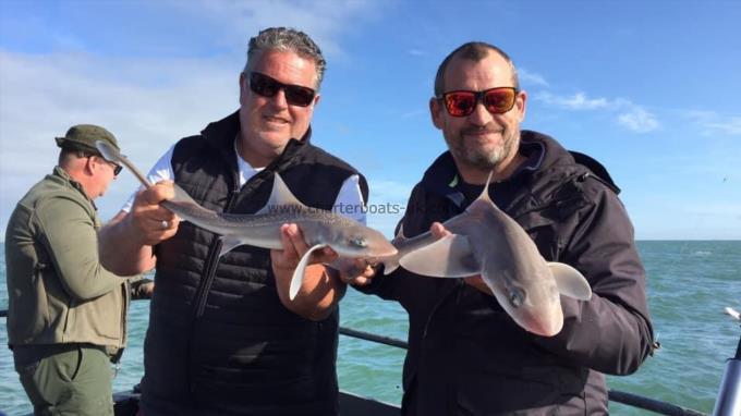 4 lb Smooth-hound by Unknown