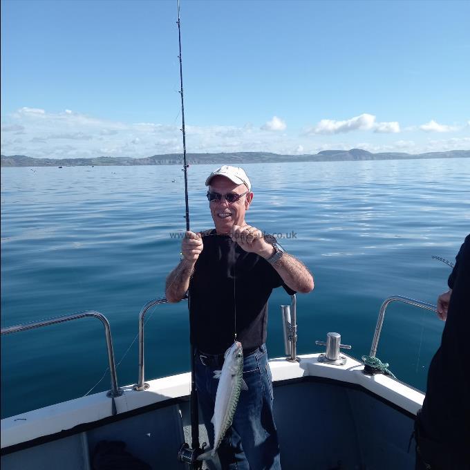 1 lb 12 oz Mackerel by Unknown