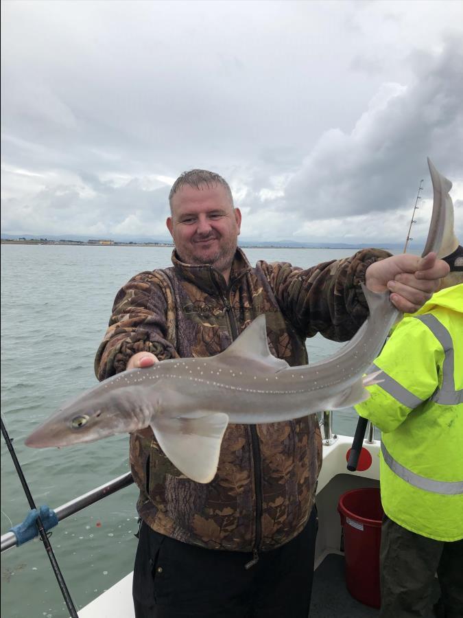 4 Kg Starry Smooth-hound by Ray Crowe