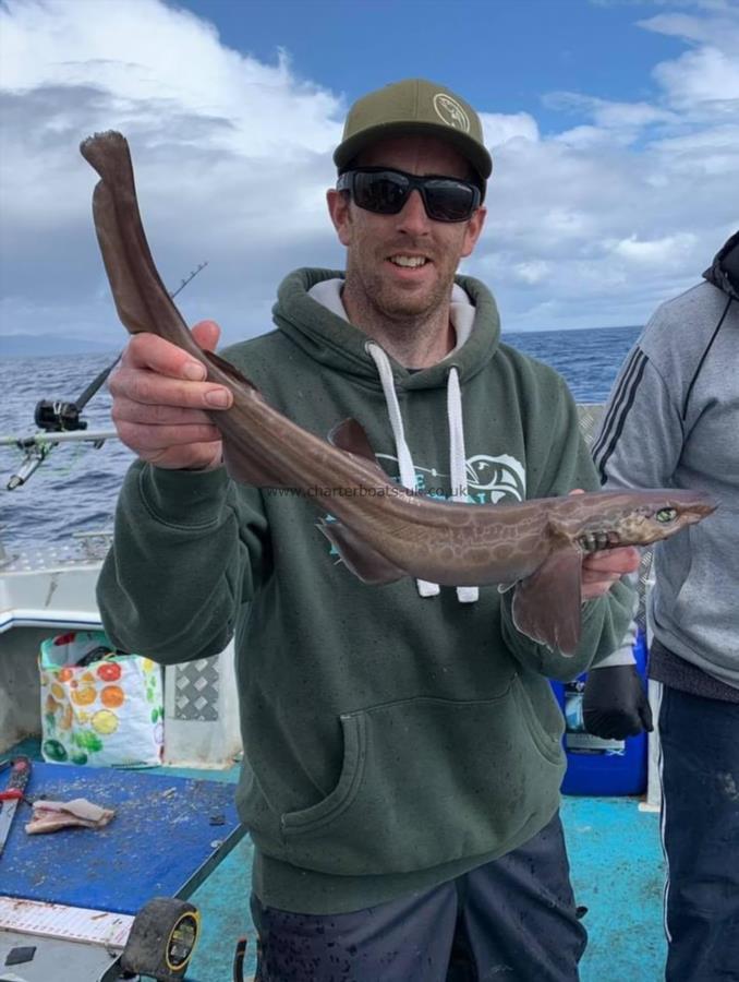 1 lb 8 oz Black-Mouthed Dogfish by Unknown