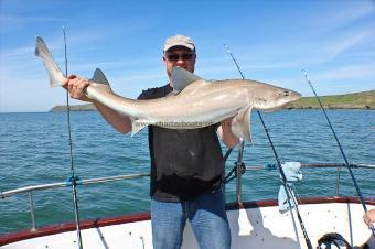 15 lb Starry Smooth-hound by Skipper Gethyn