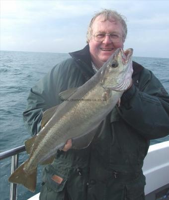 9 lb Pollock by Bill Oliver