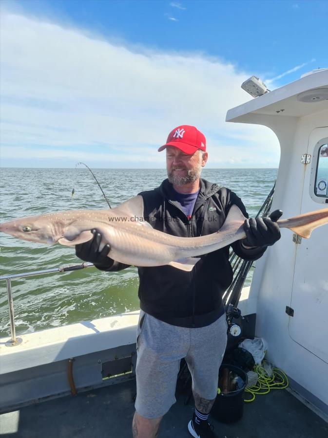 13 lb Smooth-hound (Common) by Lee Eagleson