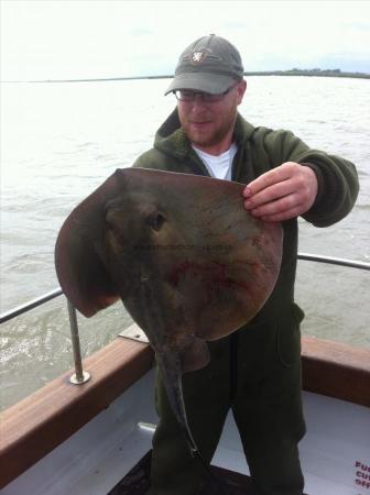 13 lb Stingray (Common) by Unknown