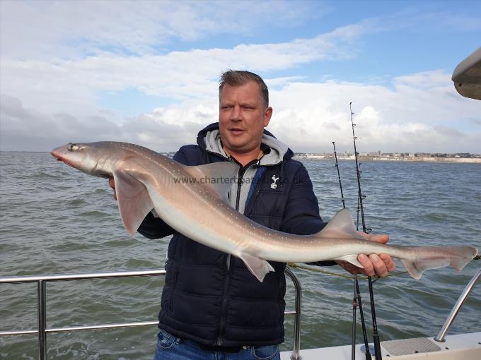 7 lb 8 oz Starry Smooth-hound by Bob Marshall