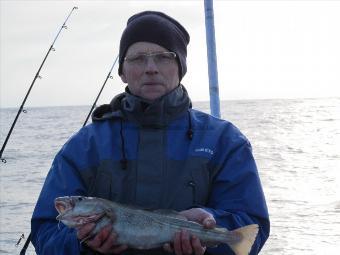 3 lb Cod by Stephen Clarke