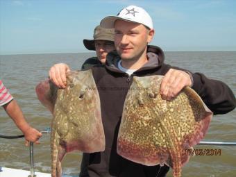 4 lb 5 oz Thornback Ray by Sep