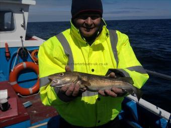 3 lb 6 oz Cod by Unknown