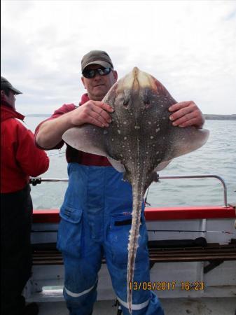7 lb Thornback Ray by Unknown