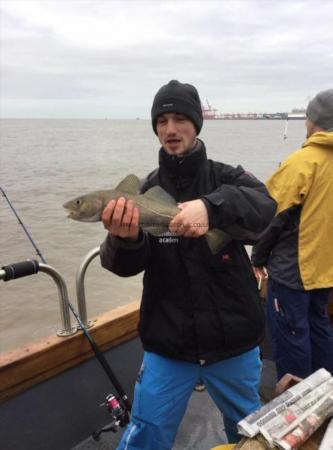 2 lb 4 oz Cod by Unknown