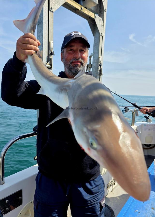 16 lb Tope by Simon