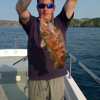 5 lb Ballan Wrasse by ian