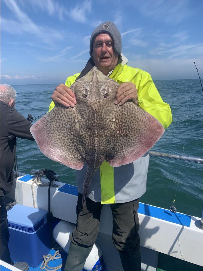 6 lb Thornback Ray by Unknown