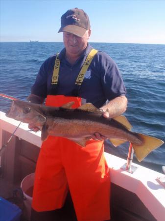 10 lb 3 oz Pollock by Brian Towle from Hull.