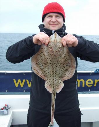 6 lb Spotted Ray by Piotr Nowacki