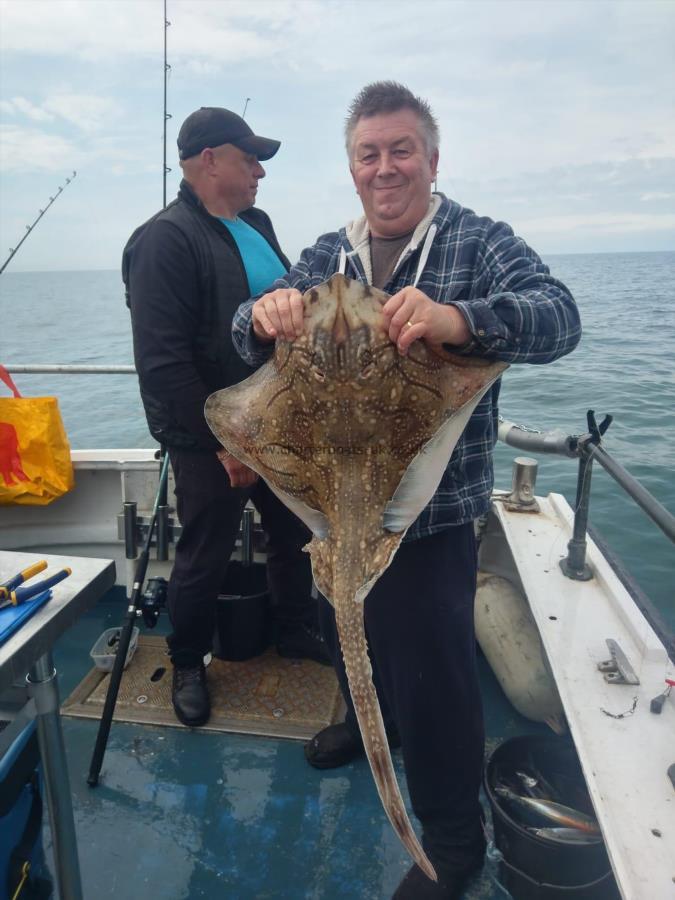 14 lb Undulate Ray by Unknown