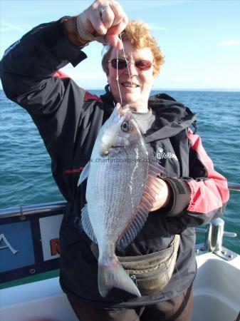 3 lb Black Sea Bream by Denise Youngs