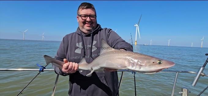 7 lb 4 oz Starry Smooth-hound by Paul