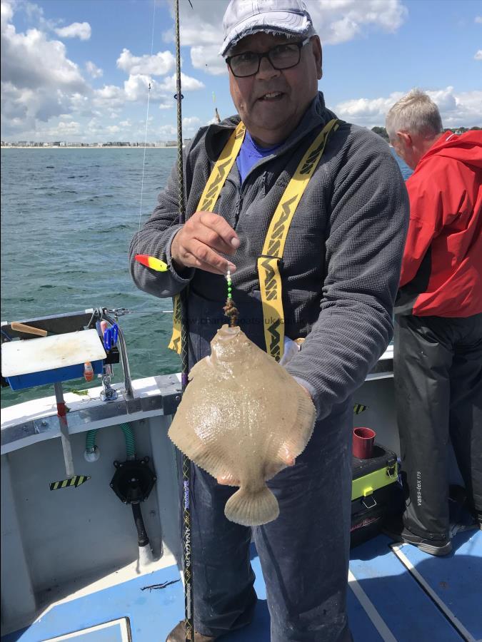 1 lb Turbot by Robin