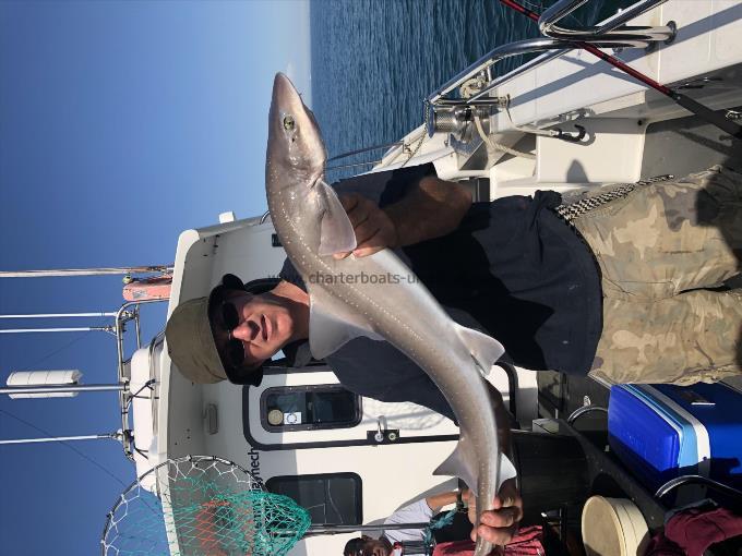 12 lb 7 oz Smooth-hound (Common) by Garth