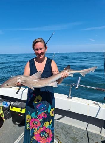 13 lb Smooth-hound (Common) by Imogen