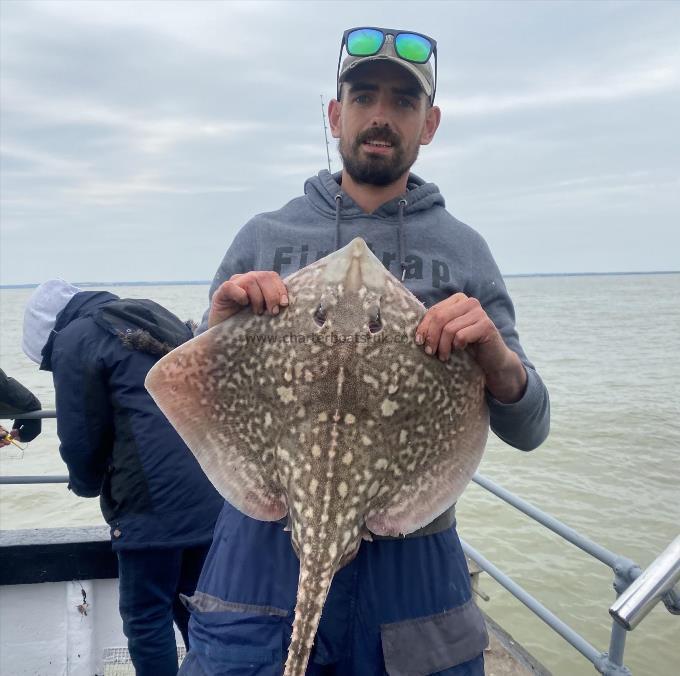 8 lb Thornback Ray by Unknown