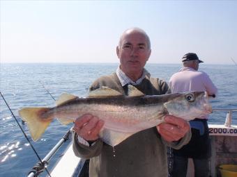 5 lb Pollock by David Laine.